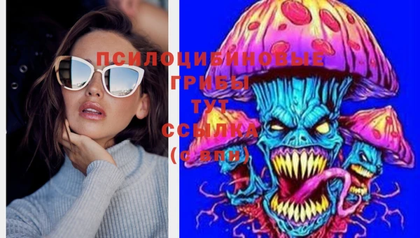 бутират Баксан