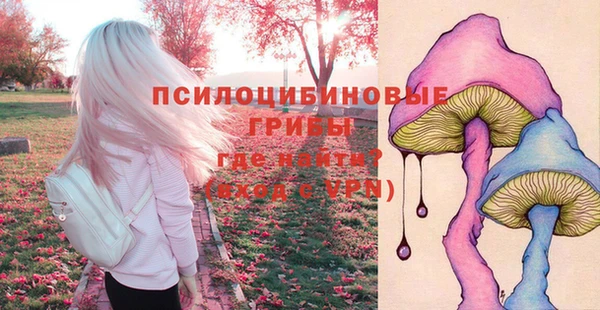 стафф Балахна