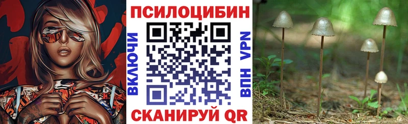 где найти наркотики  Краснозаводск  Псилоцибиновые грибы Psilocybine cubensis 